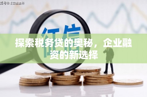 昂仁探索税务贷的奥秘，企业融资的新选择