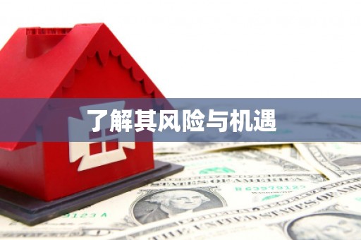 昂仁了解其风险与机遇