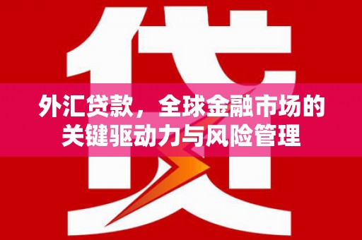 昂仁外汇贷款，全球金融市场的关键驱动力与风险管理