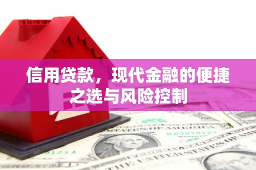 昂仁信用贷款，现代金融的便捷之选与风险控制