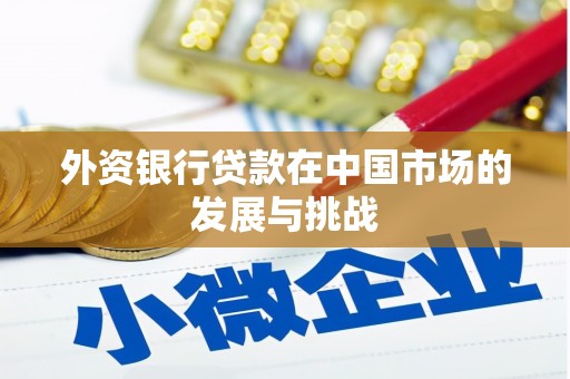 昂仁外资银行贷款在中国市场的发展与挑战