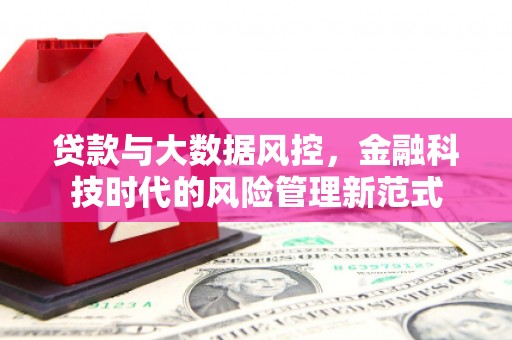 昂仁贷款与大数据风控，金融科技时代的风险管理新范式