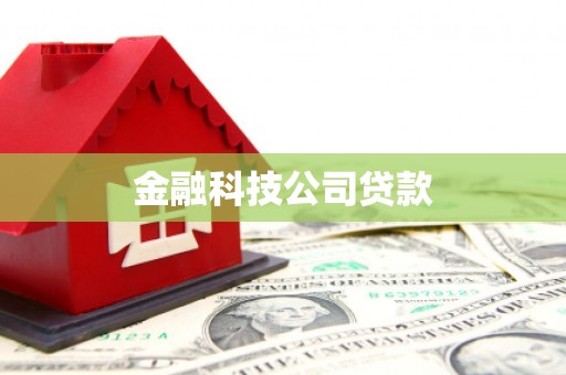 昂仁金融科技公司贷款