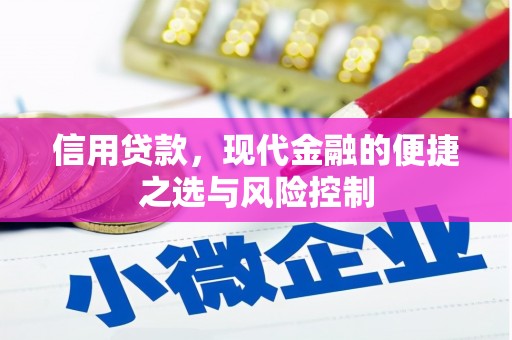 昂仁信用贷款，现代金融的便捷之选与风险控制