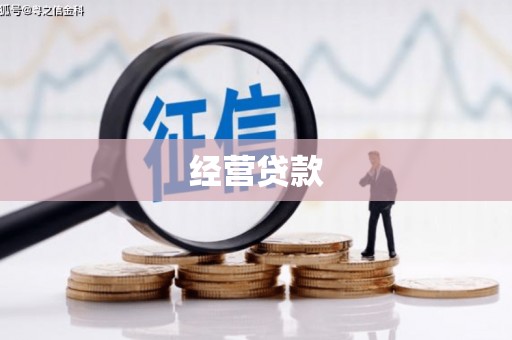 昂仁经营贷款