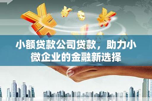 昂仁小额贷款公司贷款，助力小微企业的金融新选择
