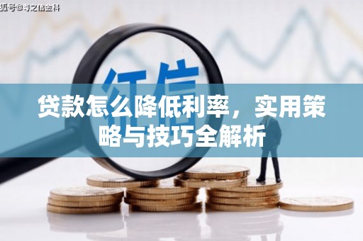 昂仁贷款怎么降低利率，实用策略与技巧全解析