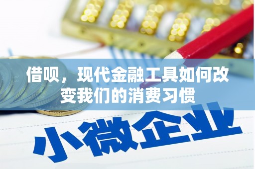 昂仁借呗，现代金融工具如何改变我们的消费习惯