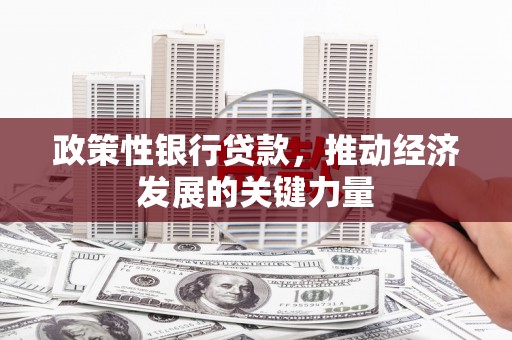 昂仁政策性银行贷款，推动经济发展的关键力量