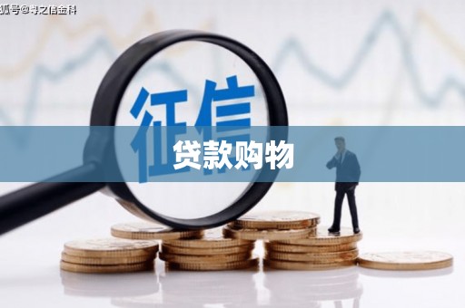 昂仁贷款购物