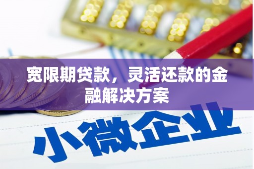 昂仁宽限期贷款，灵活还款的金融解决方案