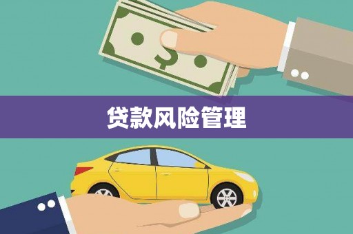 昂仁贷款风险管理