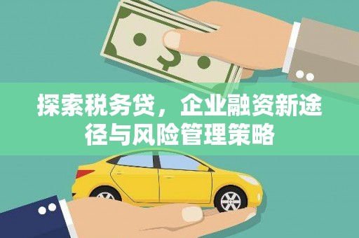 昂仁探索税务贷，企业融资新途径与风险管理策略