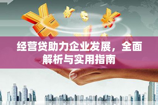 昂仁经营贷助力企业发展，全面解析与实用指南