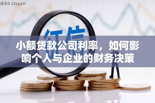 昂仁小额贷款公司利率，如何影响个人与企业的财务决策