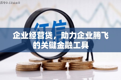 昂仁企业经营贷，助力企业腾飞的关键金融工具