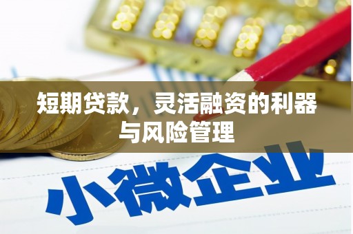 昂仁短期贷款，灵活融资的利器与风险管理