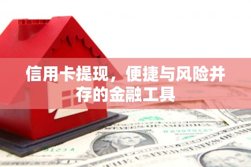昂仁信用卡提现，便捷与风险并存的金融工具