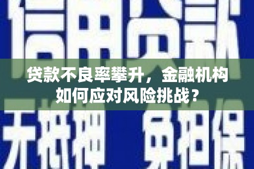 昂仁贷款不良率攀升，金融机构如何应对风险挑战？