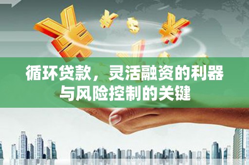昂仁循环贷款，灵活融资的利器与风险控制的关键