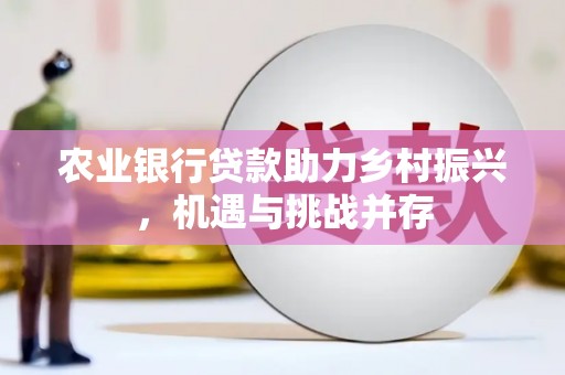 昂仁农业银行贷款助力乡村振兴，机遇与挑战并存