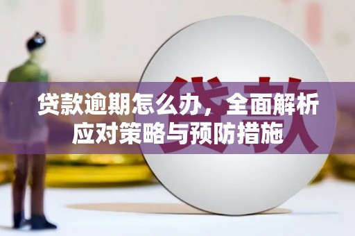 昂仁贷款逾期怎么办，全面解析应对策略与预防措施