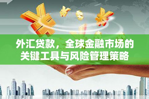 昂仁外汇贷款，全球金融市场的关键工具与风险管理策略