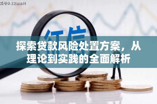 昂仁探索贷款风险处置方案，从理论到实践的全面解析