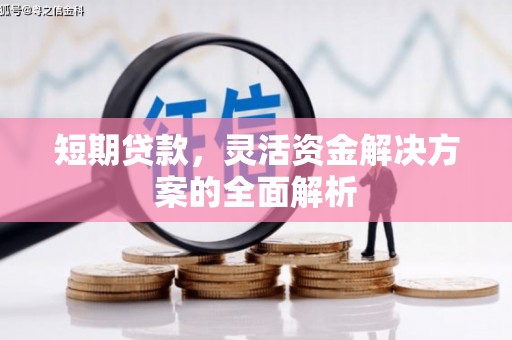 昂仁短期贷款，灵活资金解决方案的全面解析