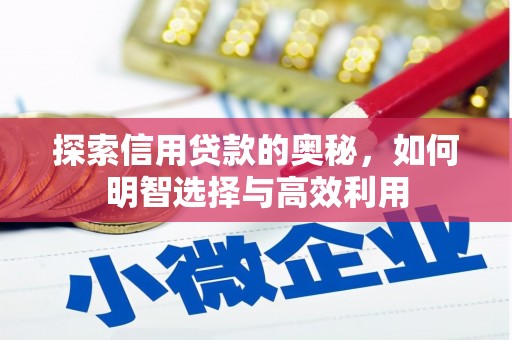 昂仁探索信用贷款的奥秘，如何明智选择与高效利用