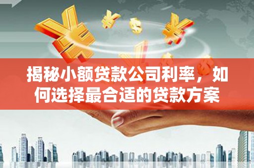 昂仁揭秘小额贷款公司利率，如何选择最合适的贷款方案