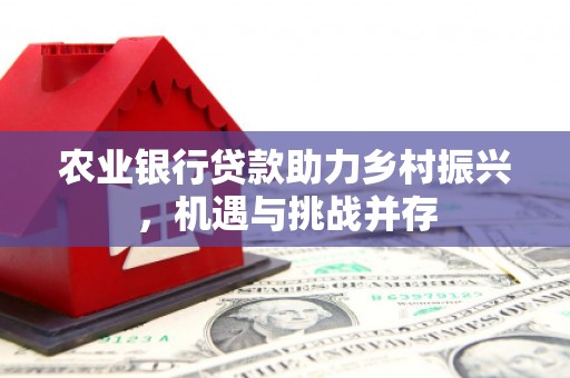 昂仁农业银行贷款助力乡村振兴，机遇与挑战并存