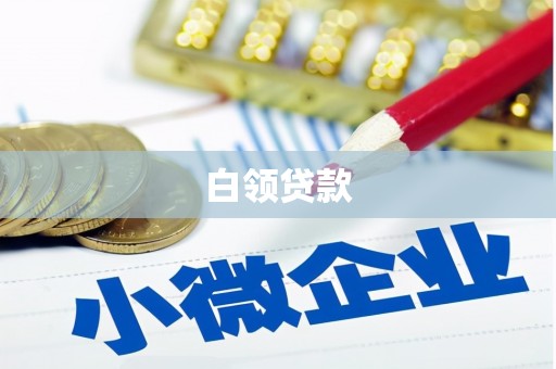 昂仁白领贷款