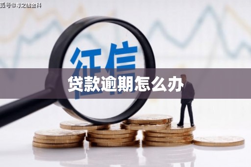 昂仁贷款逾期怎么办