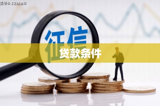 昂仁贷款条件