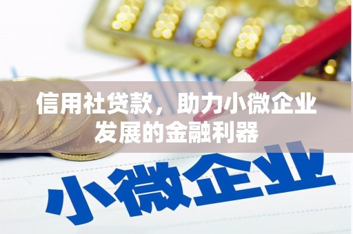 昂仁信用社贷款，助力小微企业发展的金融利器