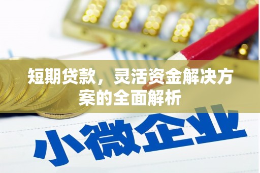 昂仁短期贷款，灵活资金解决方案的全面解析