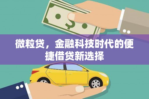 昂仁微粒贷，金融科技时代的便捷借贷新选择