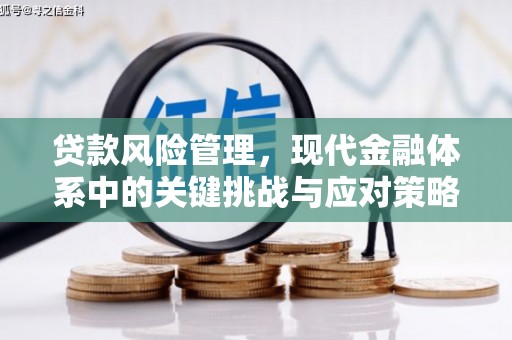 昂仁贷款风险管理，现代金融体系中的关键挑战与应对策略