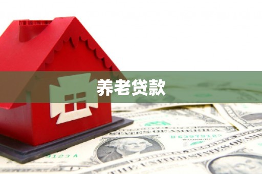昂仁养老贷款