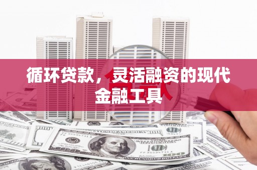 昂仁循环贷款，灵活融资的现代金融工具