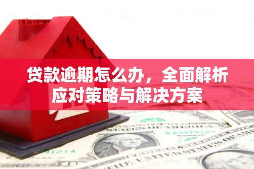 昂仁贷款逾期怎么办，全面解析应对策略与解决方案